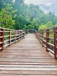 สะพานไม้ยาวที่สุดในระยอง