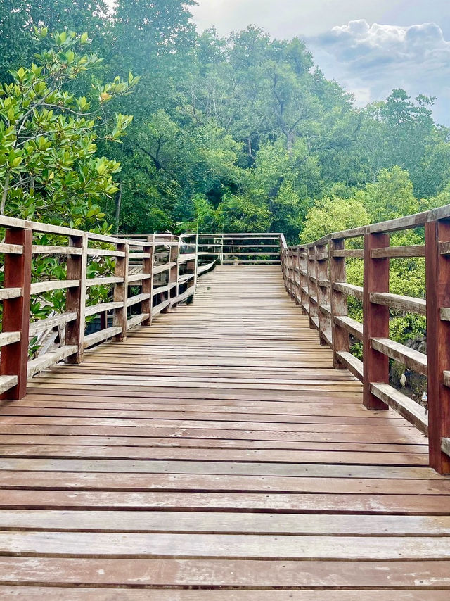 สะพานไม้ยาวที่สุดในระยอง