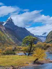 Into the Heart of Autumn: Jiuzhaigou’s Timeless Charm