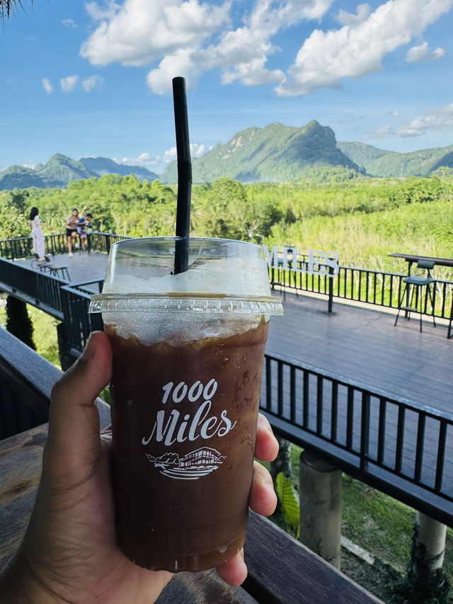 ไร่ชา 1000 ไมล์ – แวะพักชิมชา กาแฟ สไตล์ชิลๆ