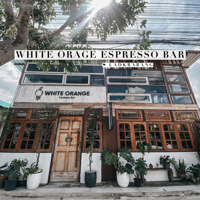 WHITE ORANGE ESPRESSO BAR 🪵