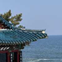 눈 내린 3월의 낙산사, 설악산과 바다를 품은 고요한 사찰