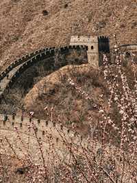 Walking Through History: A Day at Mutianyu Great Wall