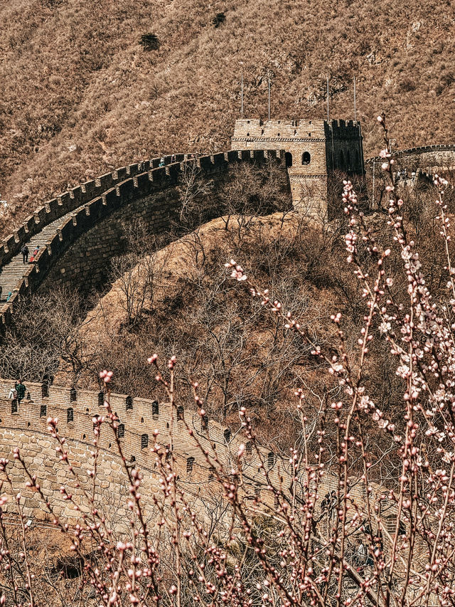 Walking Through History: A Day at Mutianyu Great Wall