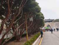 木槿花公園/舍廊房