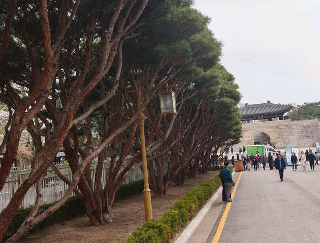 木槿花公園/舍廊房