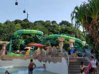 Adventure Cove Waterpark