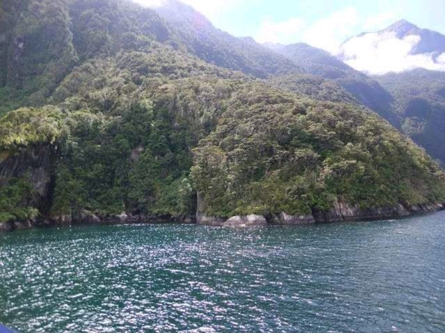#米爾福德峽灣Milford Sound-紐西蘭南島