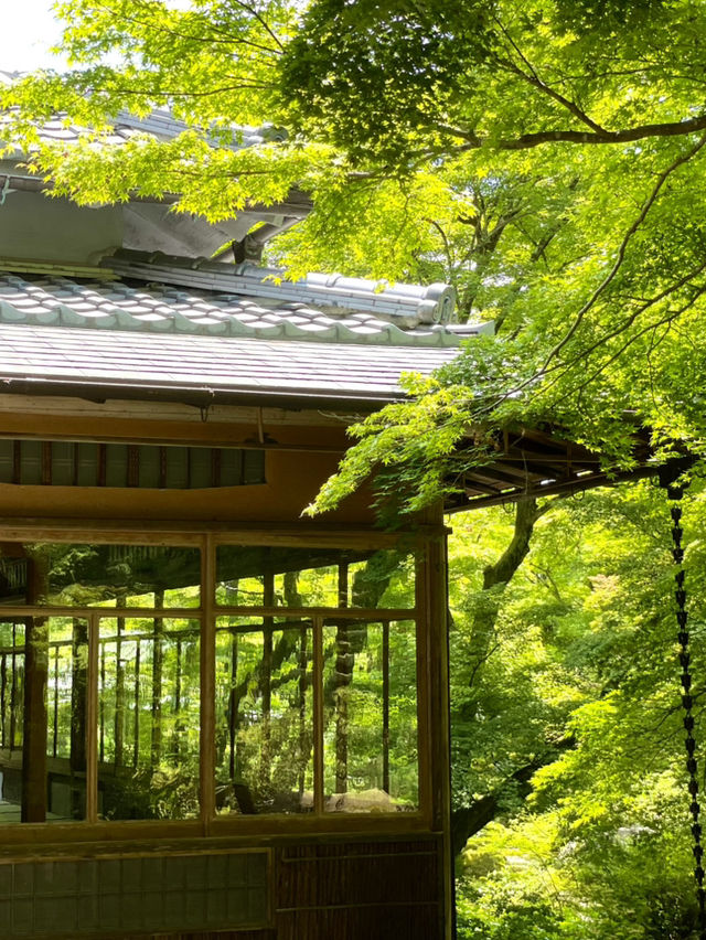 【京都】青紅葉、苔の緑、空、水の流れに魅了される素晴らしい空間