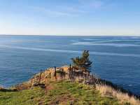 Exploring History and Coastline: Godley Head Park Adventure⛰️