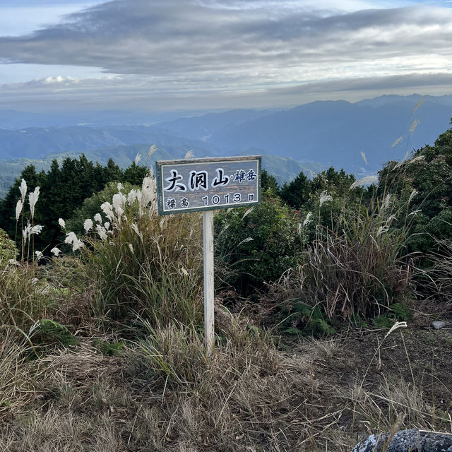 【大洞山〜尼ヶ岳】⛰️ 関西百名山