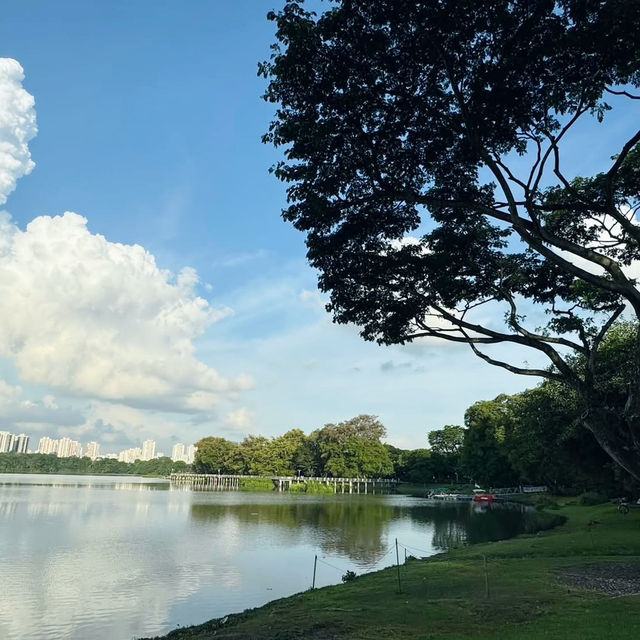 Nature’s Hidden Gem: A Stroll Through Jurong Lake Gardens 🇸🇬