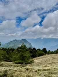 塔塔加的熱門山～麟趾山輕鬆走