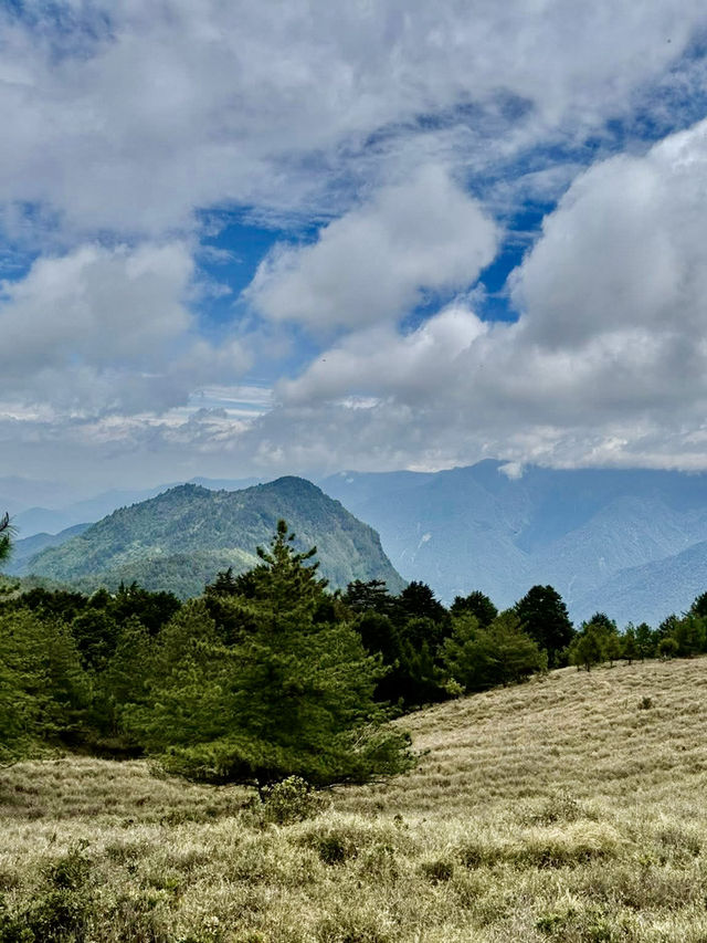 塔塔加的熱門山～麟趾山輕鬆走