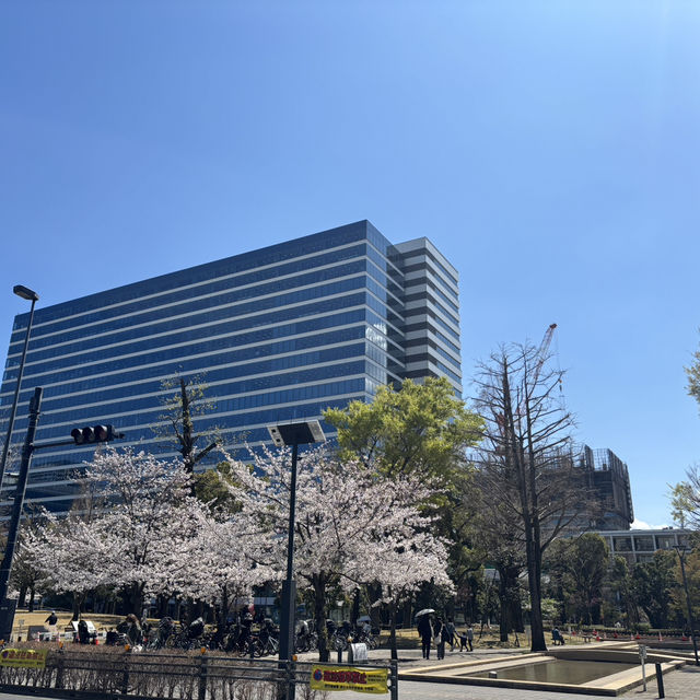I Couldn’t Believe This Was in Tokyo… Until I Took a Spring Stroll Through Nakano Central Park!