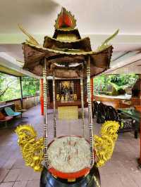 承天禪寺步道走向桐花公園賞油桐花