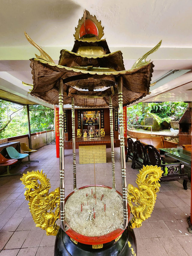 承天禪寺步道走向桐花公園賞油桐花