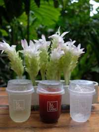 ในดงบอน พัทลุง Nai Dong Bon Cafe