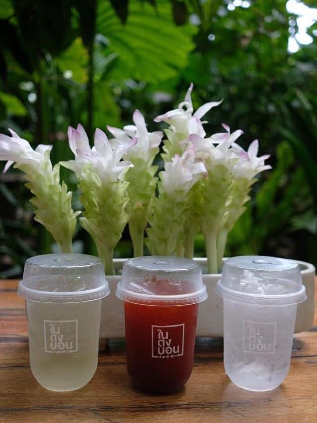 ในดงบอน พัทลุง Nai Dong Bon Cafe