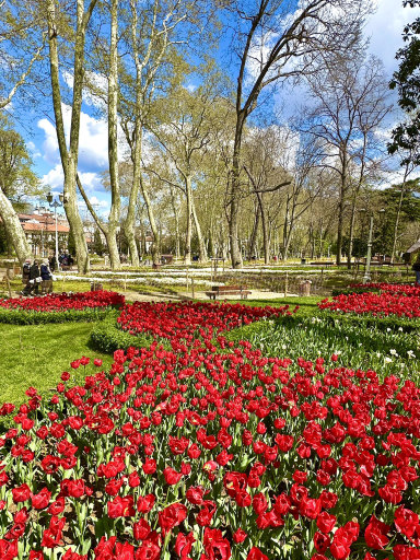 イスタンブールのおすすめチューリップ観賞2026年（2月更新）| Trip