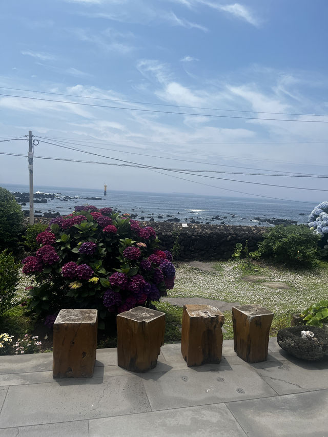 제주도에만 있는 특별한 카페 