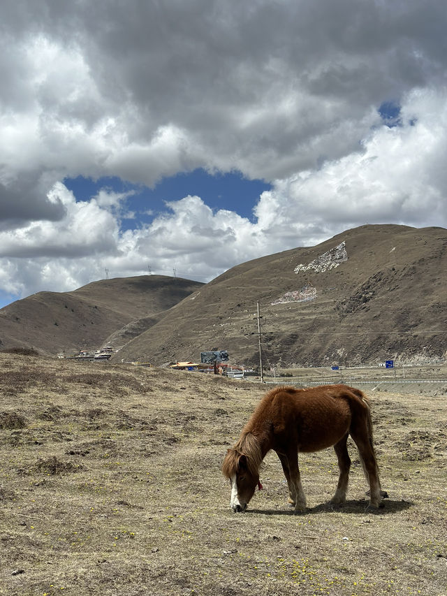 Tagong is the off the grid Tibet perfect site!