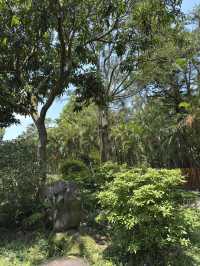 台北｜士林官邸公園｜歷史與自然的靜謐之地