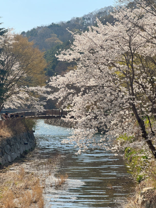 시원하게 바다가 있는 기장에서 여행 어때!