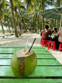 Chilling afternoon at sekinchan coconut farm 