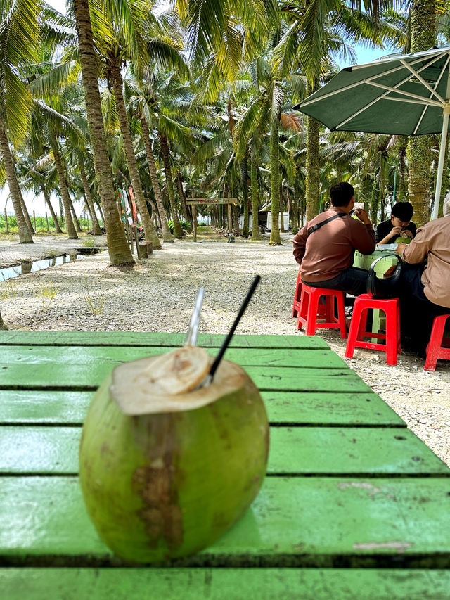 Chilling afternoon at sekinchan coconut farm 
