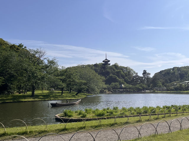 藤とツツジと新緑の三渓園@横浜🪻