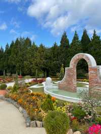 Spring Blooms and Serene Landscapes