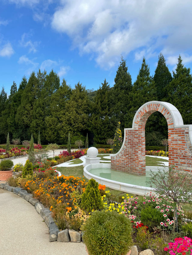 Spring Blooms and Serene Landscapes