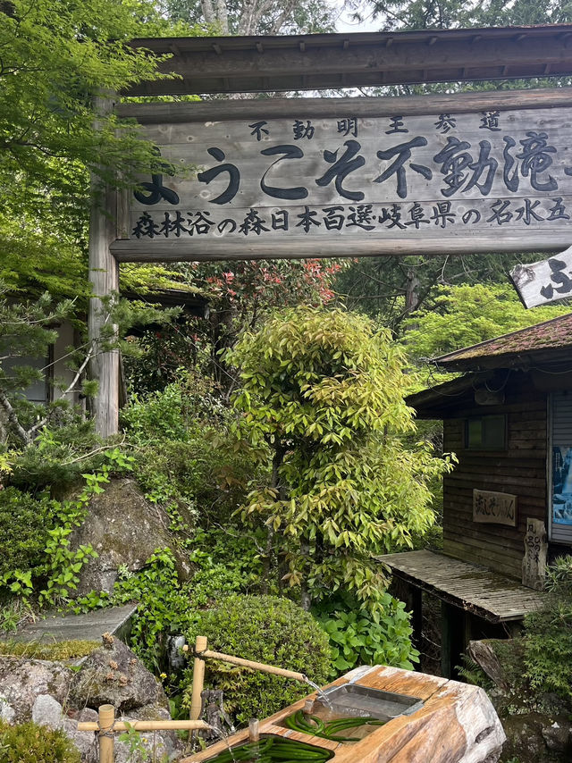 【岐阜県】付知峡にある不動滝へ🥾