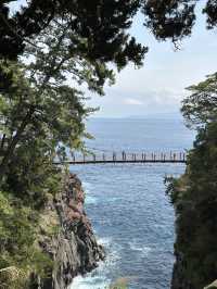 Unforgettable Journey to Igaigane, Izu Peninsula