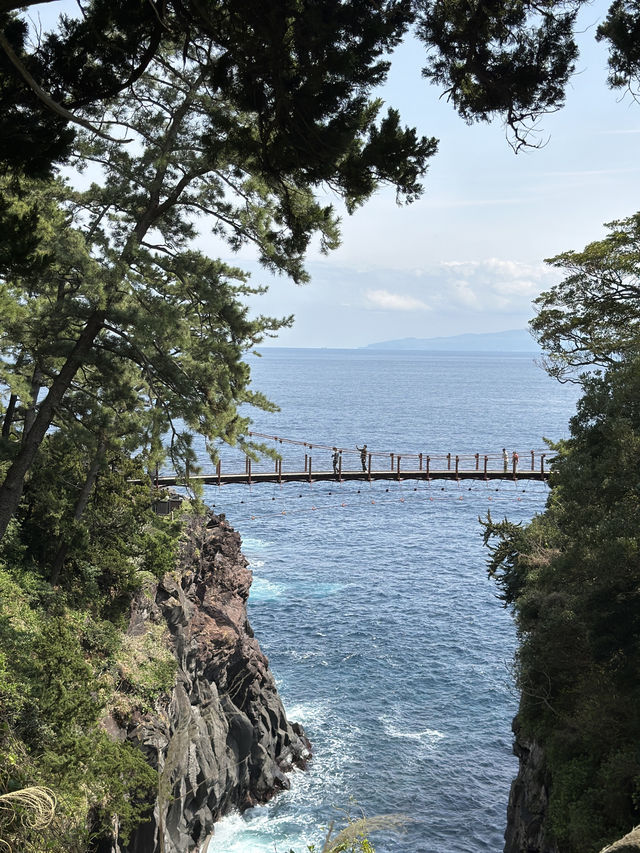 Unforgettable Journey to Igaigane, Izu Peninsula