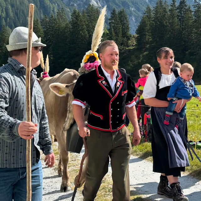 A Celebration of Alpine Tradition: My Day at the Alpabfahrt in Switzerland