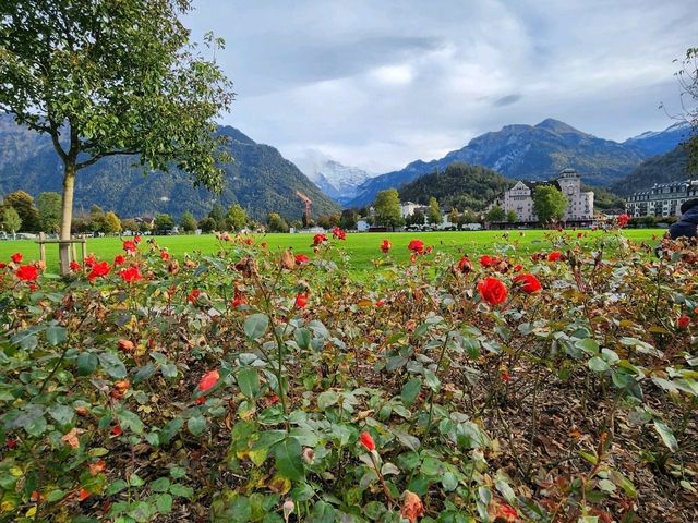 3 Days in Switzerland: A Scenic Road Trip Around Lake Thun, Interlaken & Beyond