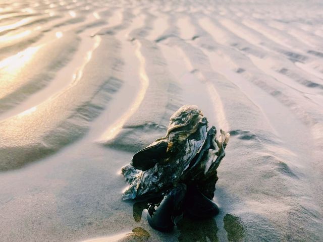 中國河北秦皇島著名景點：北戴河東海水浴場，適合打卡拍照📸