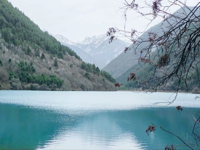 Why Jiuzhaigou’s Lakes Look Like Liquid Sapphires?🐳 🌍The Science Behind the Sapphire