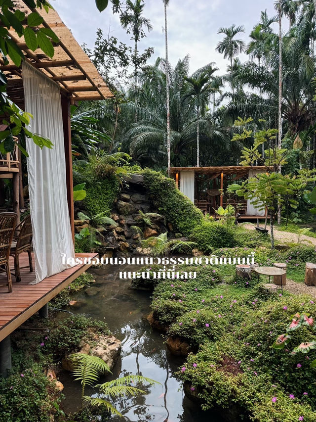 รีวิวที่พักบ้านไร่ไออรุณ จังหวัดระนอง