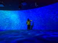 ยก Aquarium มาไว้บนตึกบนใจกลางเมือง Sapporo 