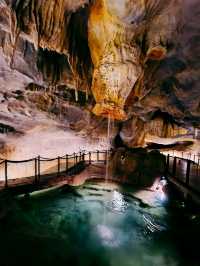 Rainforest Wild Asia – A Hidden Gem for Nature Enthusiasts