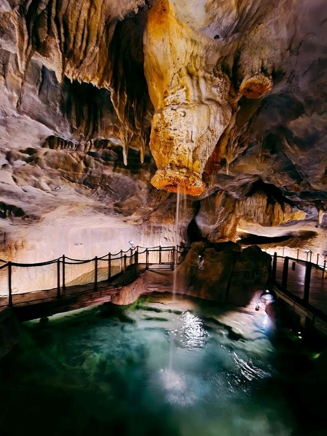 Rainforest Wild Asia – A Hidden Gem for Nature Enthusiasts