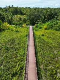 Fuvahmulah 虎鯊島怎麼玩