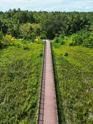 How to enjoy Fuvahmulah, the Tiger Shark Island?