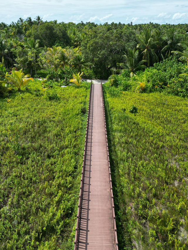 Fuvahmulah 虎鯊島怎麼玩