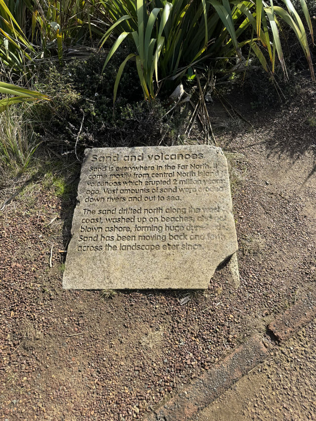 Tip of the North