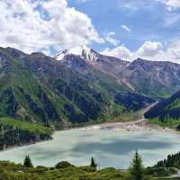 Almaty’s Spring Canvas: Blossoms Beneath the Tien Shan