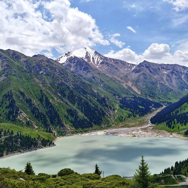Almaty’s Spring Canvas: Blossoms Beneath the Tien Shan